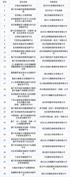 武汉发布首批271个数字经济应用场景 区块链技术相关软件与服务加速落地